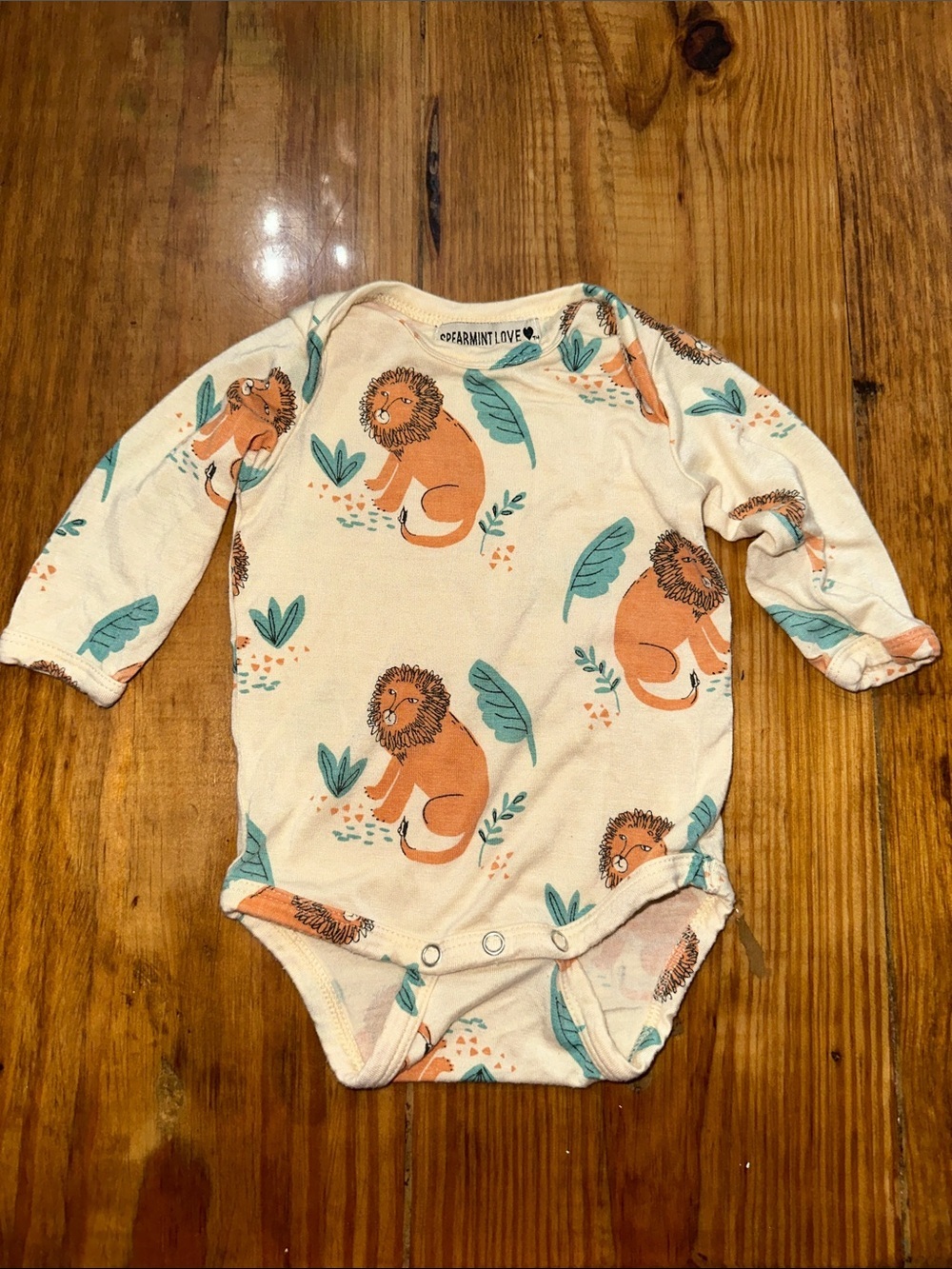 Spearmint Love Onesie 0-3 months